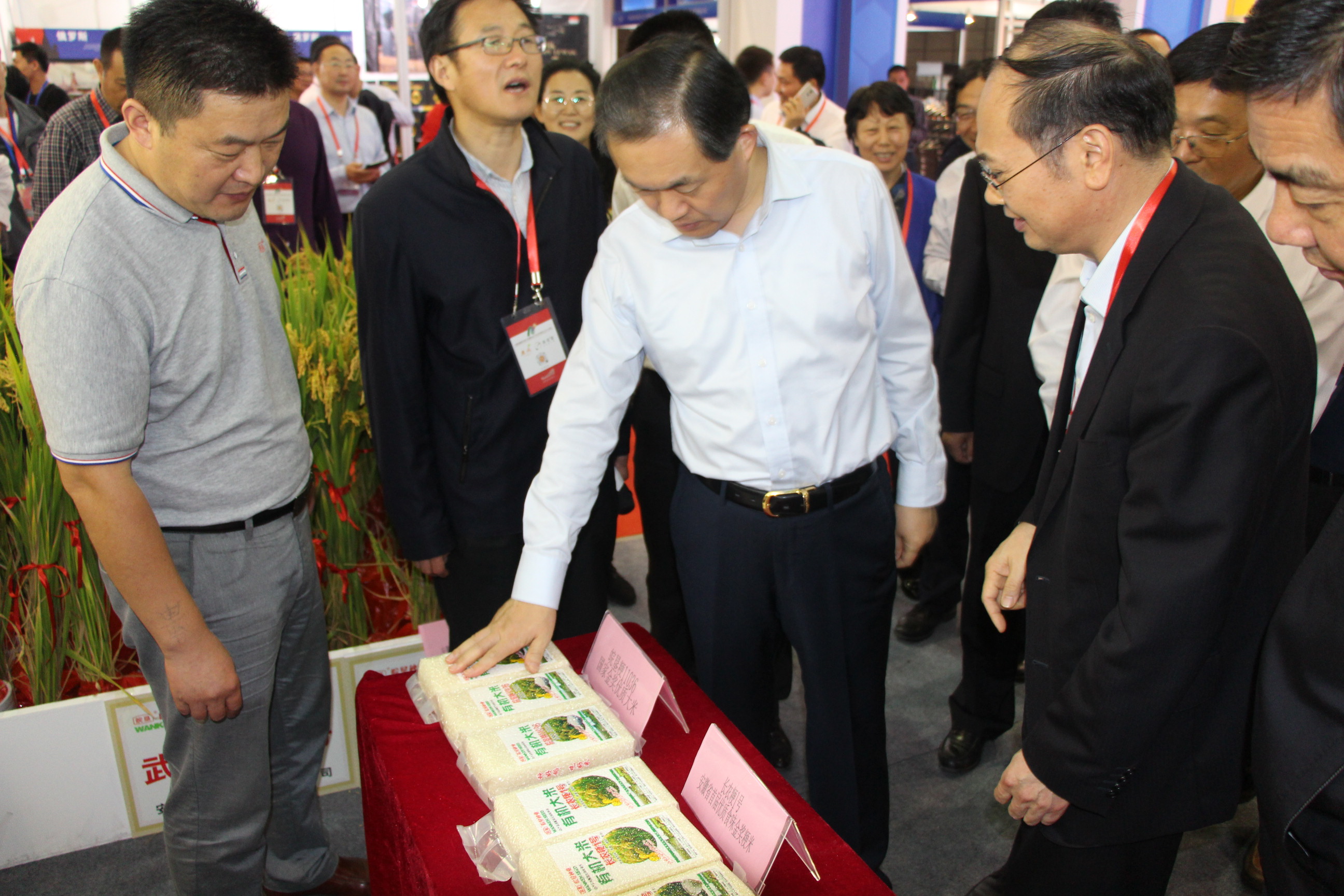 副省長(zhǎng)張曙光在安徽農(nóng)墾展館巡館指導(dǎo) 詹先豪、姜三豹陪同