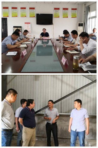 皖墾種業(yè)黨委書記陳軍到壽縣分公司督導午收準