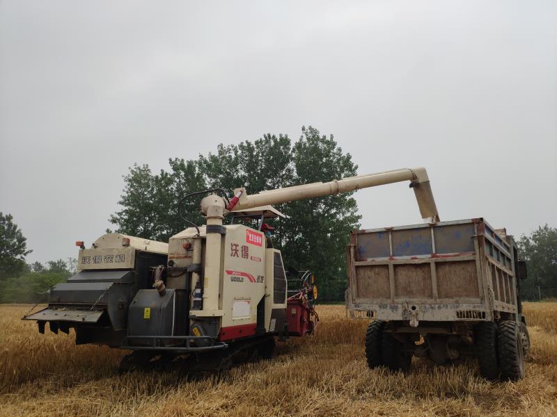 天長分公司:全力以赴決戰(zhàn)午收