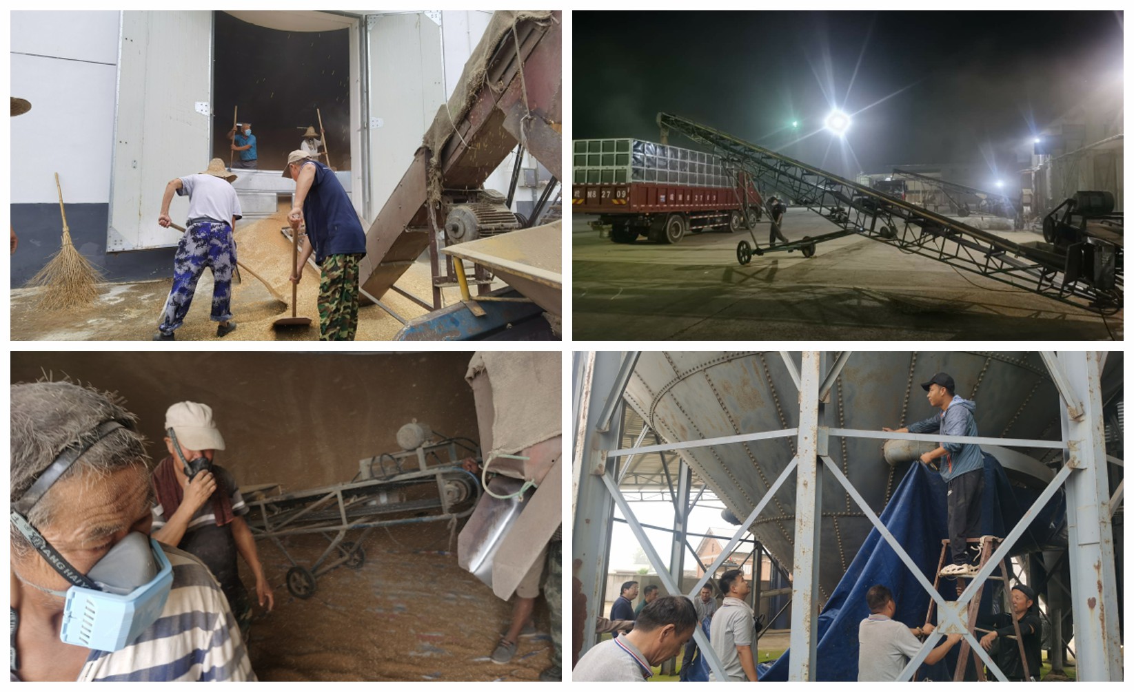 皖墾種業(yè)明光分公司如期完成圩區(qū)種子搶運任務(wù)