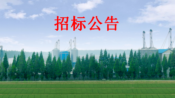 2021年轉(zhuǎn)商小麥、小麥選種小籽 拍賣公告