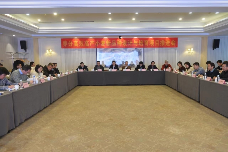 農(nóng)墾集團(tuán)黨委副書記、總經(jīng)理張其廣出席皖墾種業(yè)小麥生物育種重大項(xiàng)目啟動(dòng)會(huì)